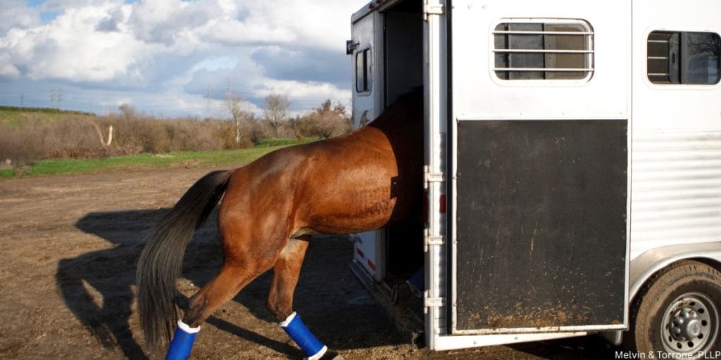 Safe horse transportation alternative addressing concerns about can you get a DUI on a horse